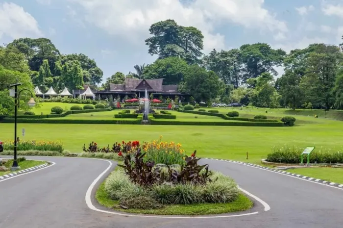 Tourist Spots in Bogor Offering Natural Beauty and Stunning Photo Opportunities